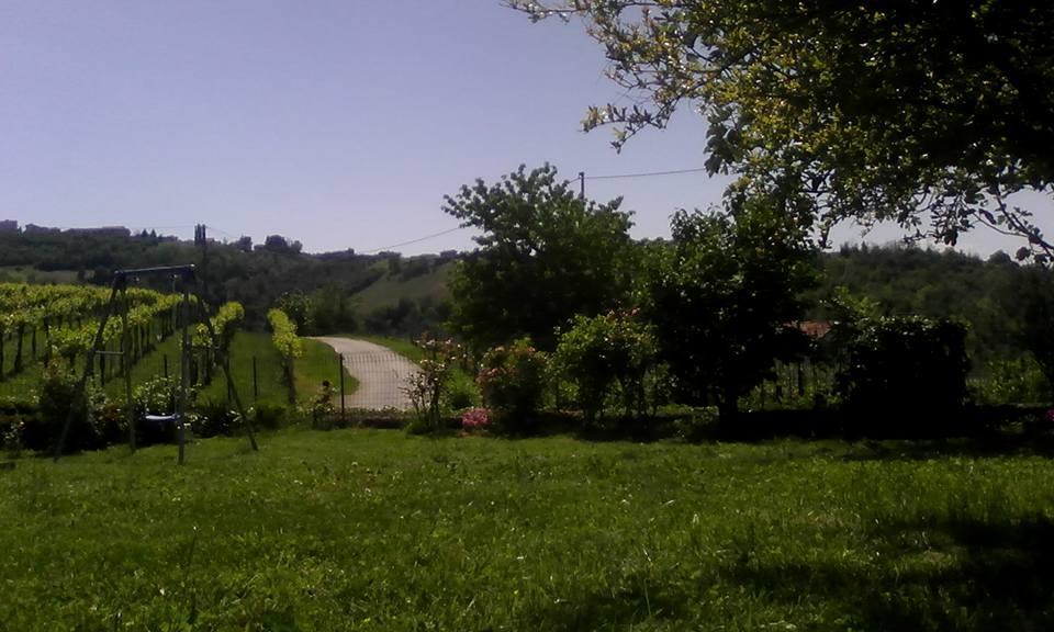 Bed & Breakfast Cascina Beatrice Rodello Экстерьер фото
